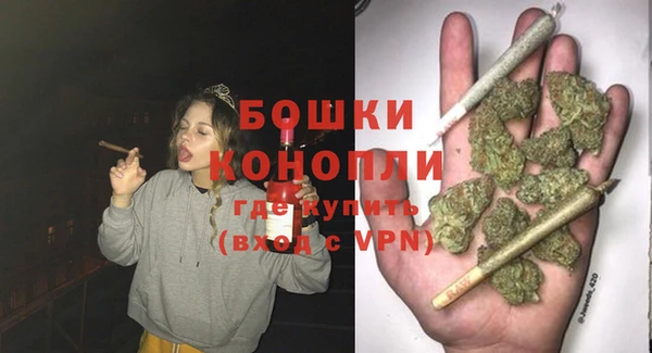 индика Балахна