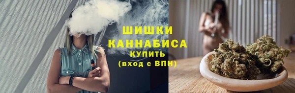 индика Балахна