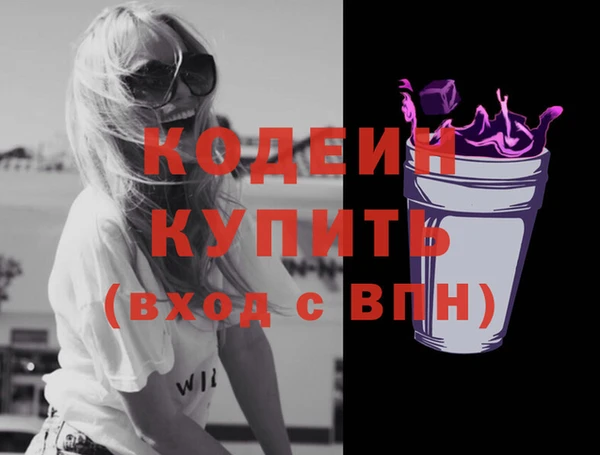 индика Балахна