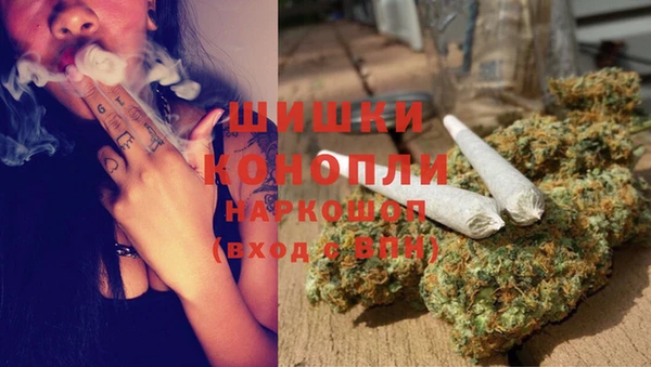 индика Балахна