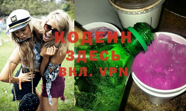индика Балахна