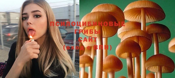 индика Балахна