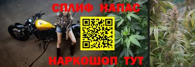 гидропоника Коммунар