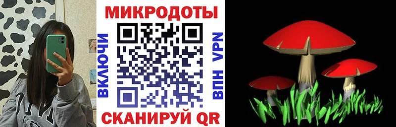 Псилоцибиновые грибы GOLDEN TEACHER  Корсаков 