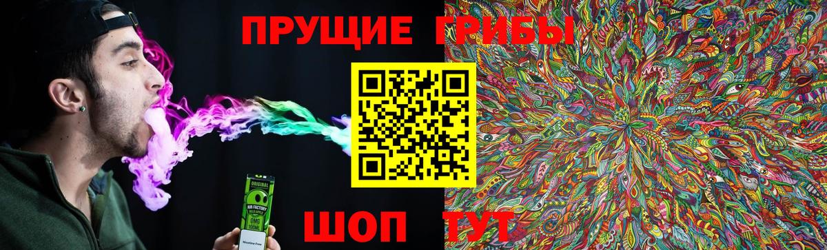 Канабис Корсаков